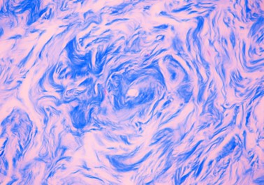 fotografia mikroskopowa