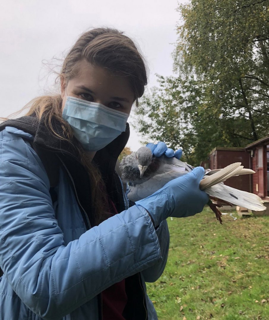 Zdjęcia Marii Pietrali