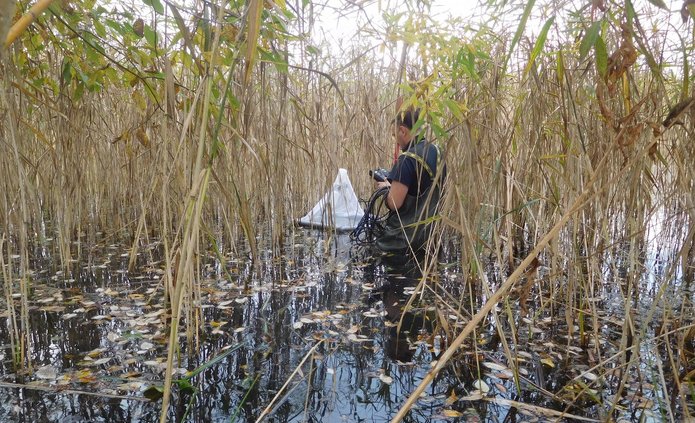 Zdjęcie z badań naukowych