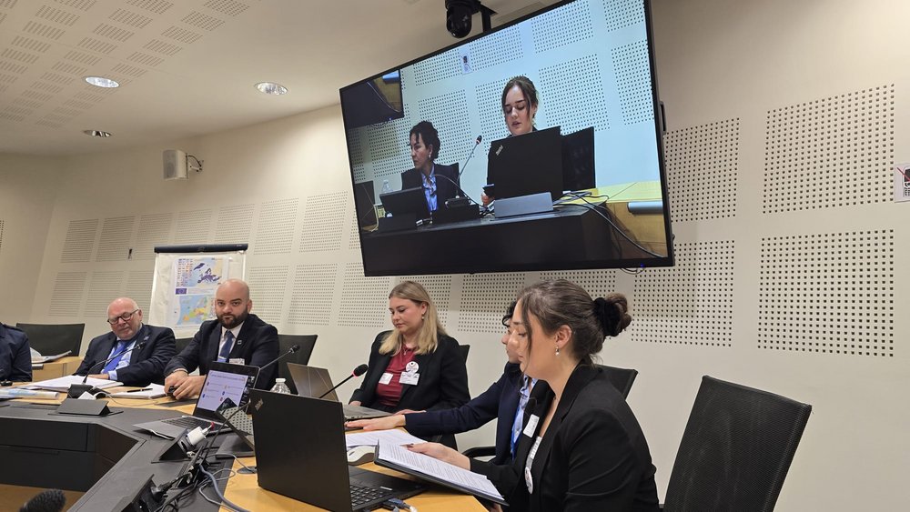 Studentki WNoW UŁ w Radzie Europy