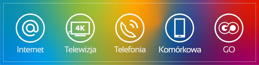 piktogramy pokazujące usługi w ofercie TOYA