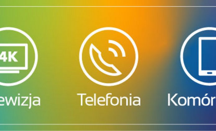 piktogramy pokazujące usługi w ofercie TOYA