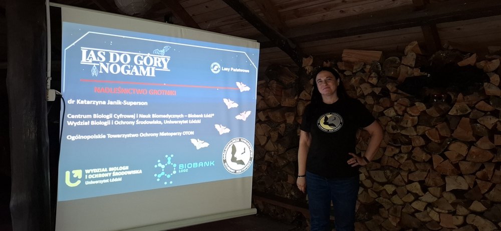 Międzynarodowa Noc Nietoperzy, zdjęcie