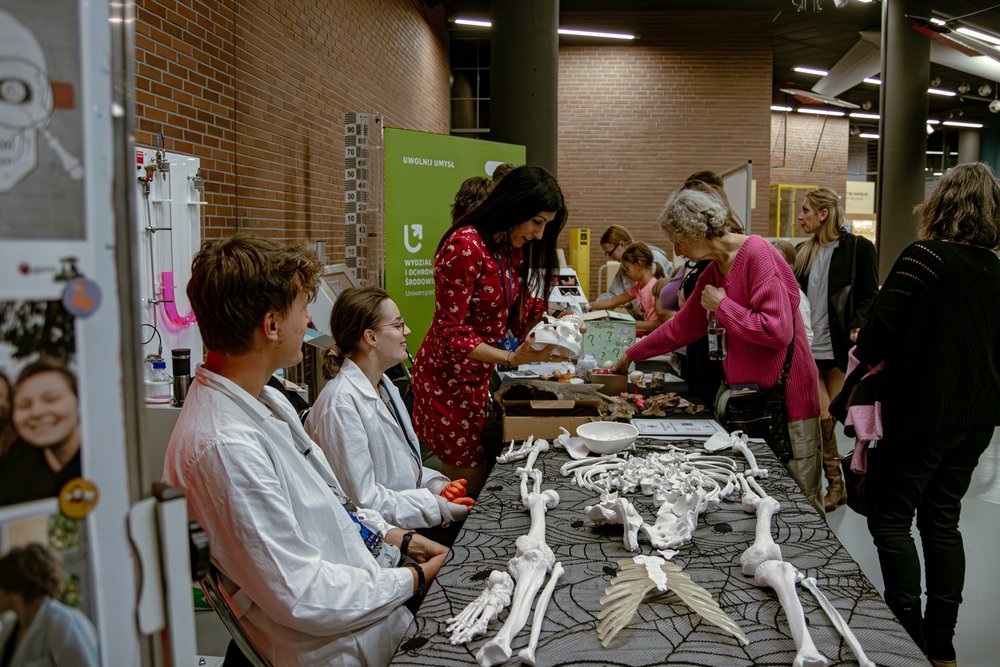 Osoby oglądające kości