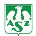 logotyp AMWR