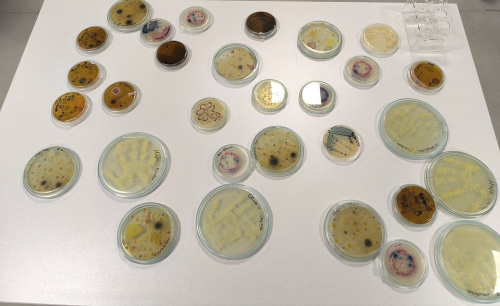 praca w laboratorium