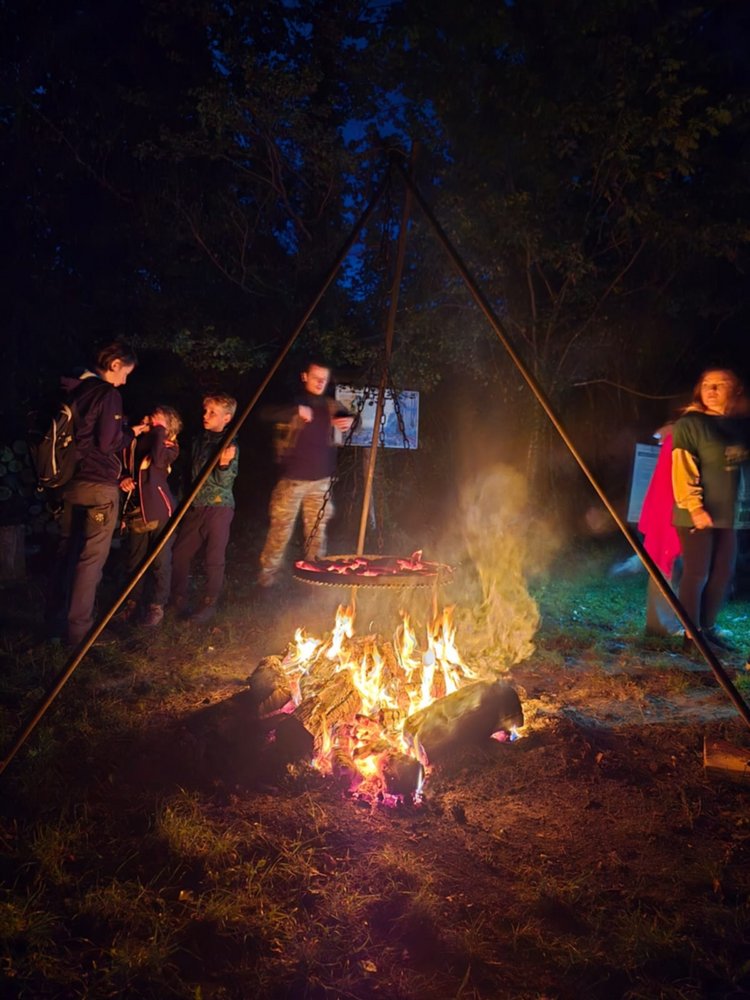 Międzynarodowa Noc Nietoperzy, zdjęcie