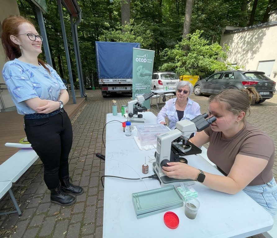 Piknik przyrodniczy - zdjęcie