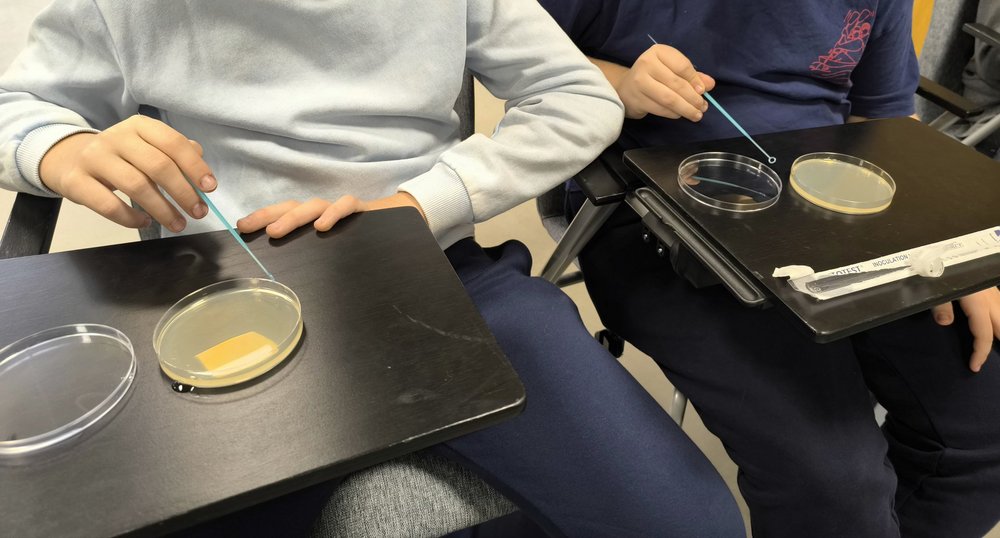 praca w laboratorium