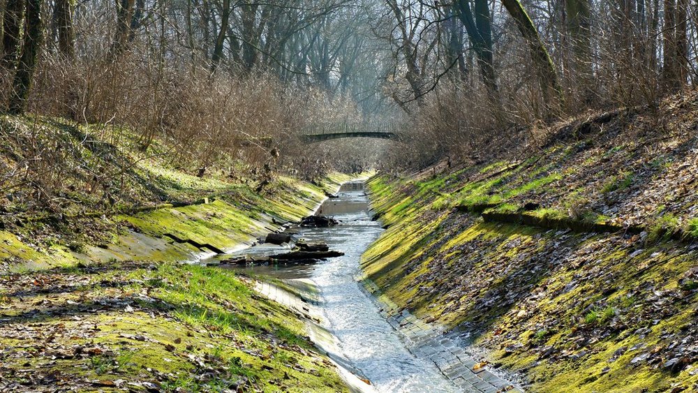 rzeka